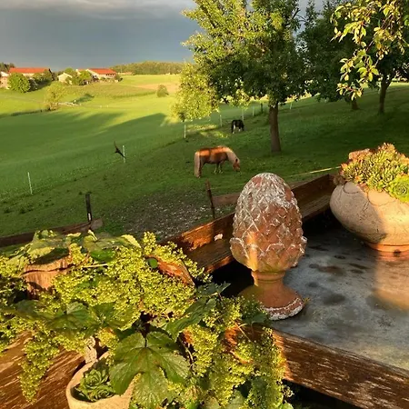 Plattenberger Hof * Вагинг-ам-Зе
