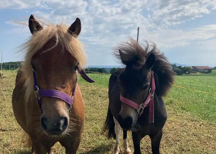 Plattenberger Hof * Waging am See