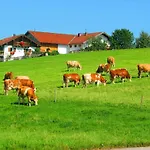 Plattenberger Hof