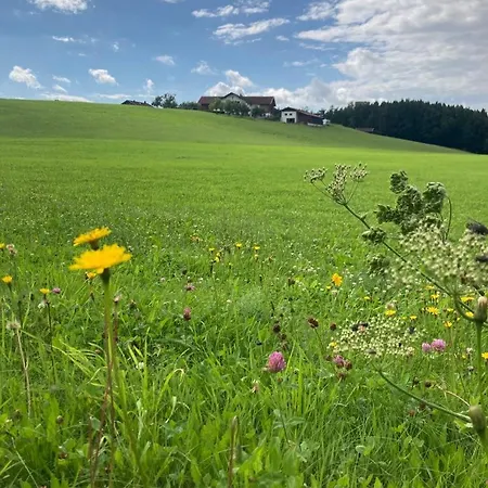 Plattenberger Hof Farm stay Waging am See