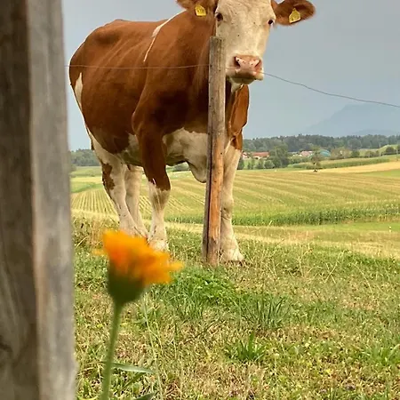 Farm stay Plattenberger Hof Waging am See