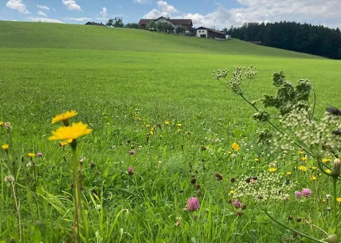 Plattenberger Hof Lantgård Waging am See