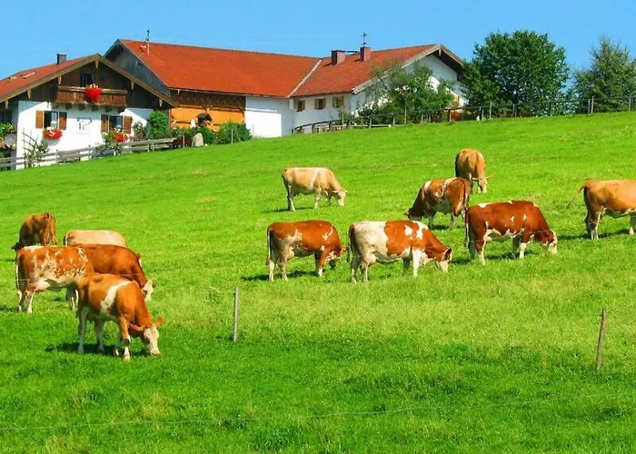 Plattenberger Hof